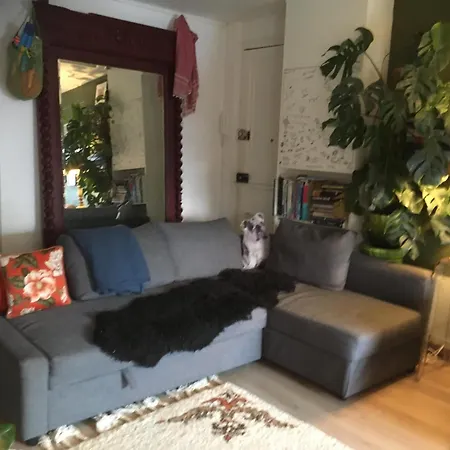 London Style In Appartement